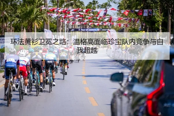 huan-fa-huang-shan-wei-mian-zhi-lu-wen-ge-gao-mian-lin-zhen-bao-dui-nei-jing-zheng-yu-zi-wo-chao-yue-3-433.jpg