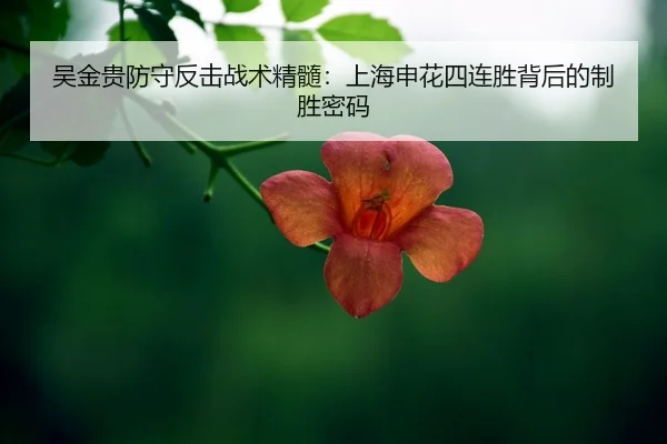 wu-jin-gui-fang-shou-fan-ji-zhan-shu-jing-sui-shang-hai-shen-hua-si-lian-sheng-bei-hou-de-zhi-sheng-mi-ma-2-636.jpg