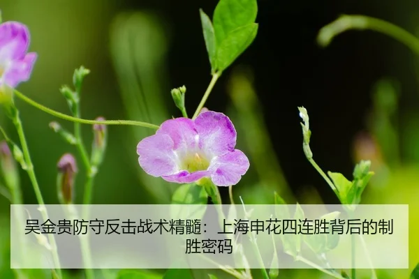 wu-jin-gui-fang-shou-fan-ji-zhan-shu-jing-sui-shang-hai-shen-hua-si-lian-sheng-bei-hou-de-zhi-sheng-mi-ma-3-273.jpg