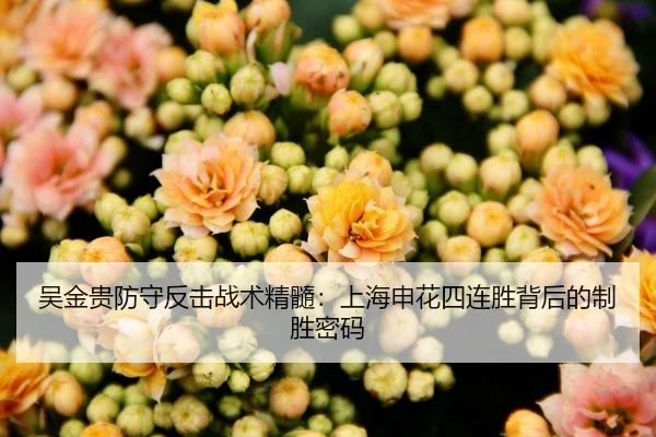 吴金贵防守反击战术精髓：上海申花四连胜背后的制胜密码