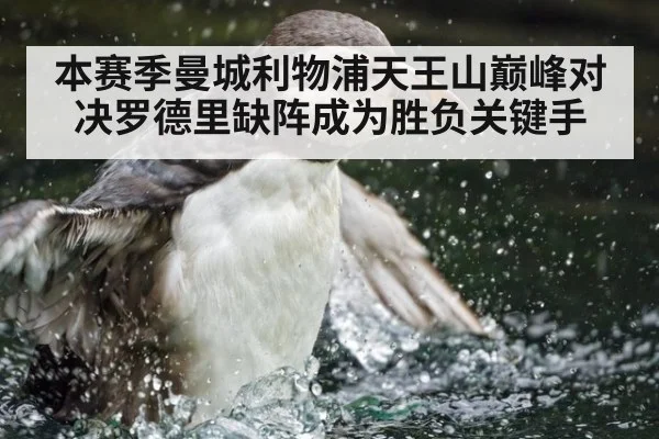 本赛季曼城利物浦天王山巅峰对决罗德里缺阵成为胜负关键手